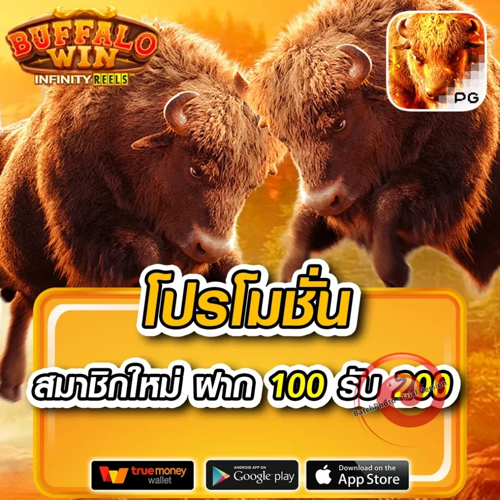 M4-BEST มาแรง